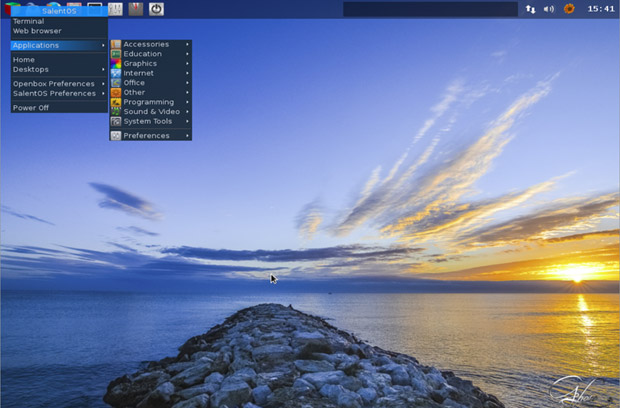 SalentOS desktop